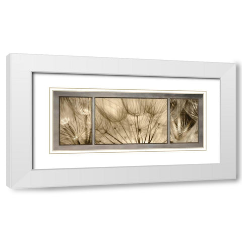 Goatsbeard Trio White Modern Wood Framed Art Print with Double Matting by Deiter, Lori