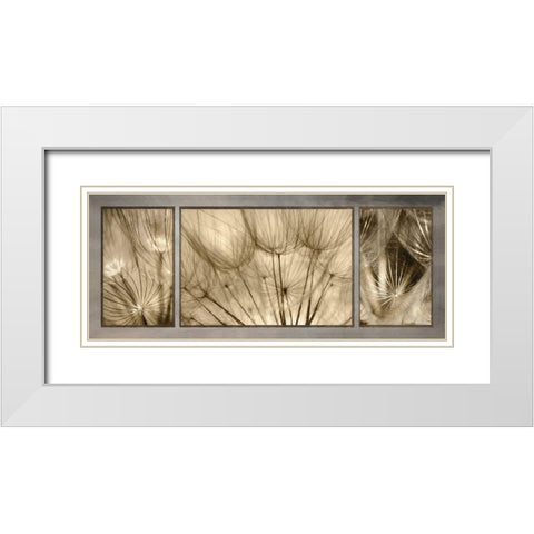 Goatsbeard Trio White Modern Wood Framed Art Print with Double Matting by Deiter, Lori