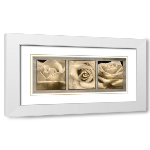 Rose Trio White Modern Wood Framed Art Print with Double Matting by Deiter, Lori