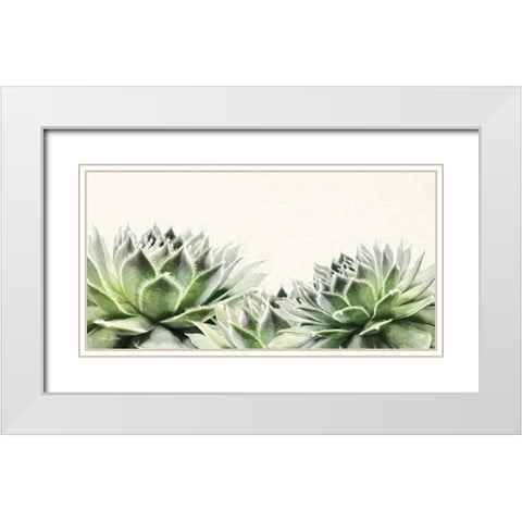 Soft Succulents I White Modern Wood Framed Art Print with Double Matting by Deiter, Lori