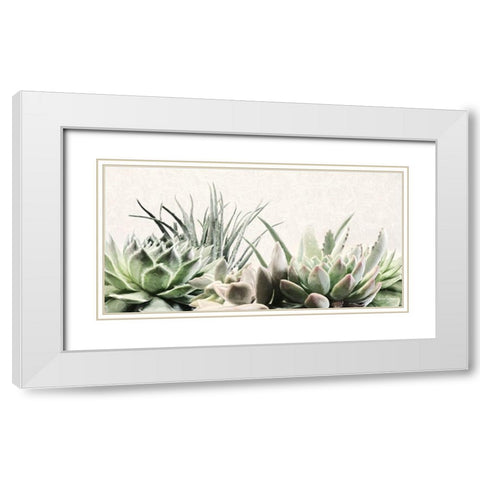 Soft Succulents II White Modern Wood Framed Art Print with Double Matting by Deiter, Lori