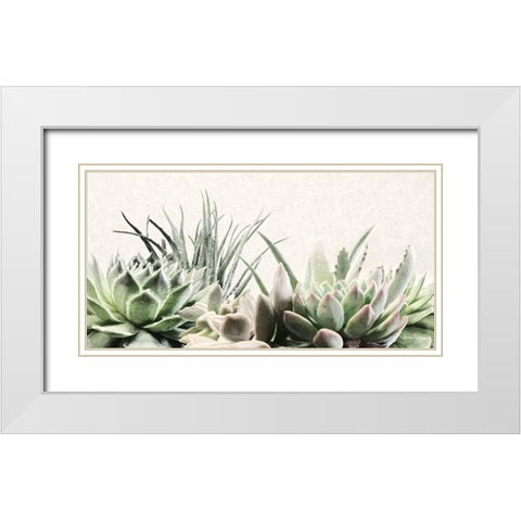 Soft Succulents II White Modern Wood Framed Art Print with Double Matting by Deiter, Lori