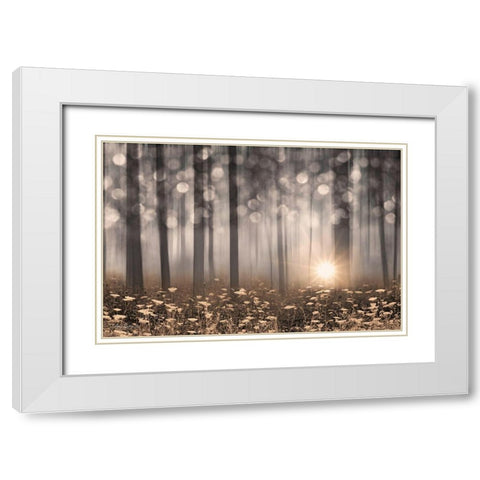 Enchanted Morning White Modern Wood Framed Art Print with Double Matting by Deiter, Lori
