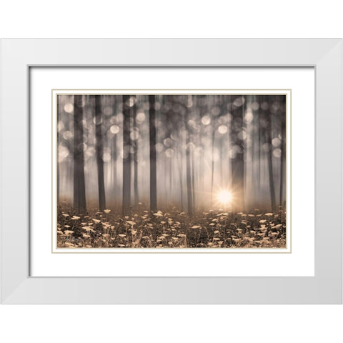Enchanted Morning White Modern Wood Framed Art Print with Double Matting by Deiter, Lori