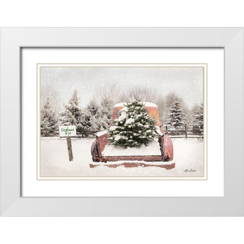 Rustic Christmas Trees  White Modern Wood Framed Art Print with Double Matting by Deiter, Lori