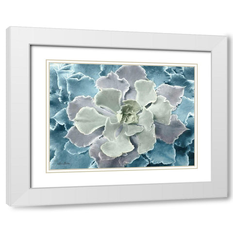 Multi-color Succulent  White Modern Wood Framed Art Print with Double Matting by Deiter, Lori