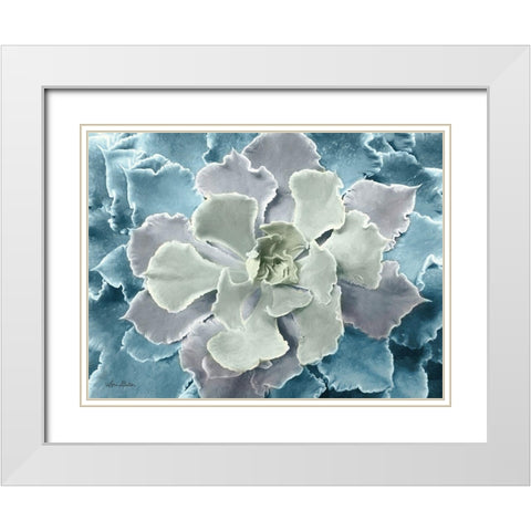 Multi-color Succulent  White Modern Wood Framed Art Print with Double Matting by Deiter, Lori