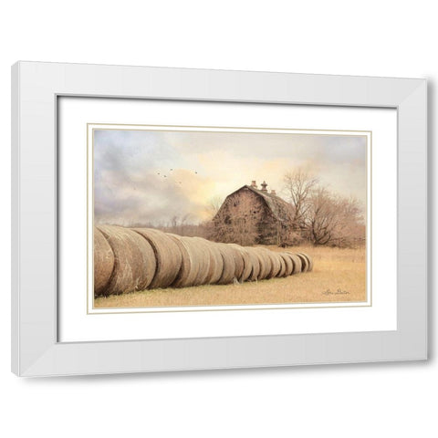 Good Day on the Farm White Modern Wood Framed Art Print with Double Matting by Deiter, Lori