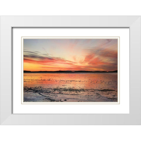 Fire and Ice White Modern Wood Framed Art Print with Double Matting by Deiter, Lori