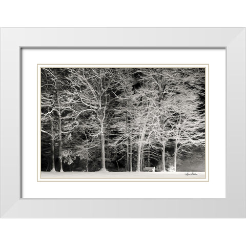 Snowy Trees White Modern Wood Framed Art Print with Double Matting by Deiter, Lori