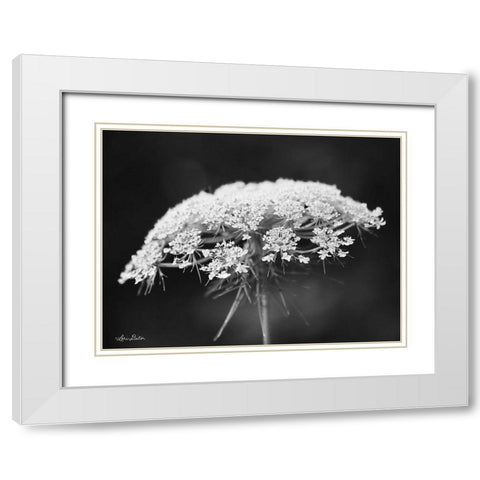 Queen Annes Lace White Modern Wood Framed Art Print with Double Matting by Deiter, Lori