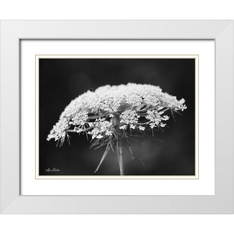 Queen Annes Lace White Modern Wood Framed Art Print with Double Matting by Deiter, Lori