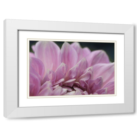 A Fresh Start White Modern Wood Framed Art Print with Double Matting by Deiter, Lori