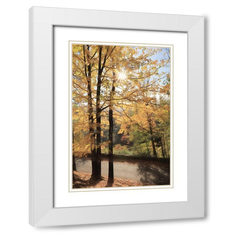 Autumn Light at Letchworth   White Modern Wood Framed Art Print with Double Matting by Deiter, Lori