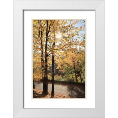Autumn Light at Letchworth   White Modern Wood Framed Art Print with Double Matting by Deiter, Lori