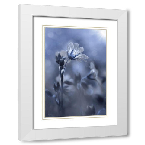 Blue and White Flowers I White Modern Wood Framed Art Print with Double Matting by Deiter, Lori