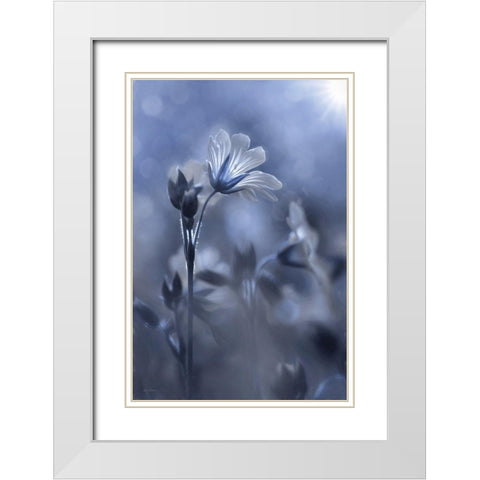 Blue and White Flowers I White Modern Wood Framed Art Print with Double Matting by Deiter, Lori