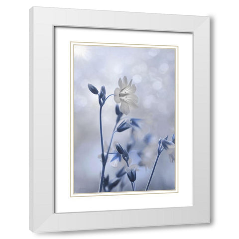Blue and White Flowers II White Modern Wood Framed Art Print with Double Matting by Deiter, Lori