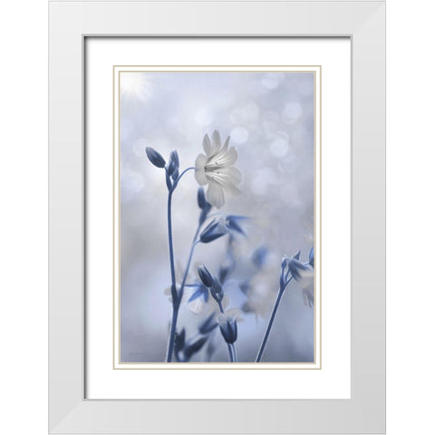 Blue and White Flowers II White Modern Wood Framed Art Print with Double Matting by Deiter, Lori