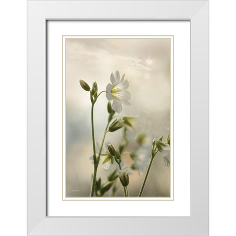 White Wildflowers II White Modern Wood Framed Art Print with Double Matting by Deiter, Lori