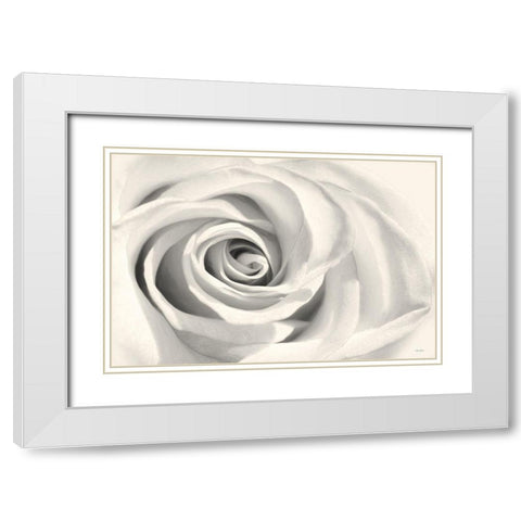Rose II White Modern Wood Framed Art Print with Double Matting by Deiter, Lori