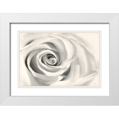 Rose II White Modern Wood Framed Art Print with Double Matting by Deiter, Lori