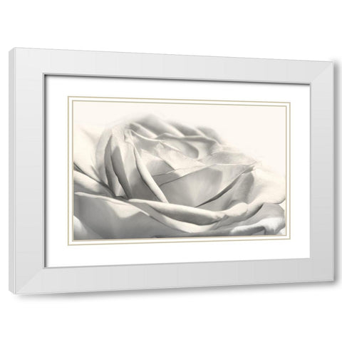 Rose III White Modern Wood Framed Art Print with Double Matting by Deiter, Lori