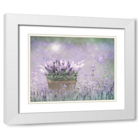 Lavender Basket White Modern Wood Framed Art Print with Double Matting by Deiter, Lori