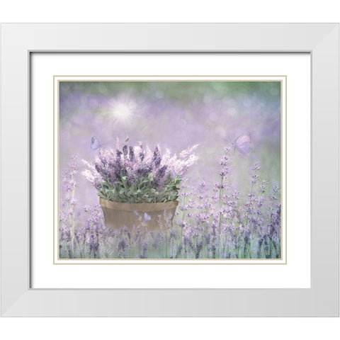 Lavender Basket White Modern Wood Framed Art Print with Double Matting by Deiter, Lori