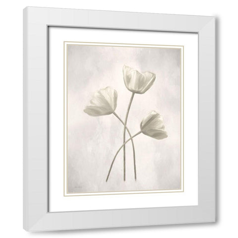 Bleached Tulips II White Modern Wood Framed Art Print with Double Matting by Deiter, Lori