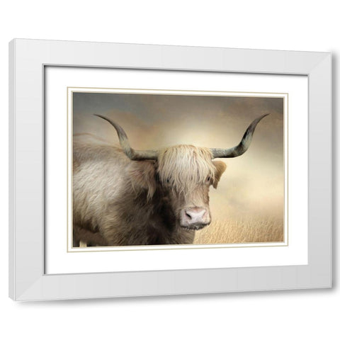Highland Cow in Golden Grass White Modern Wood Framed Art Print with Double Matting by Deiter, Lori