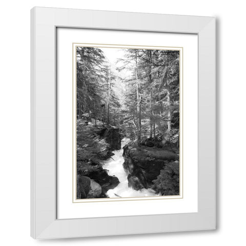 Avalanche Trail   White Modern Wood Framed Art Print with Double Matting by Deiter, Lori