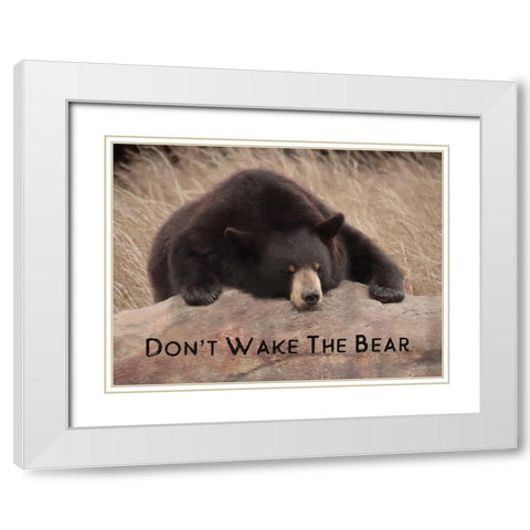 Dont Wake the Bear White Modern Wood Framed Art Print with Double Matting by Deiter, Lori