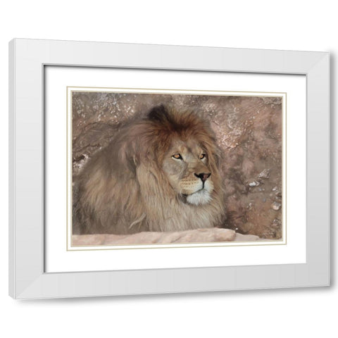 Leo the Lion White Modern Wood Framed Art Print with Double Matting by Deiter, Lori