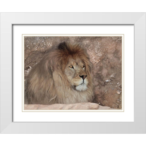 Leo the Lion White Modern Wood Framed Art Print with Double Matting by Deiter, Lori