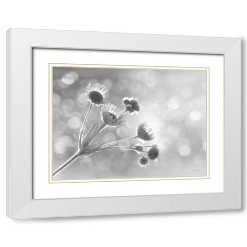 Wild Flowers I White Modern Wood Framed Art Print with Double Matting by Deiter, Lori