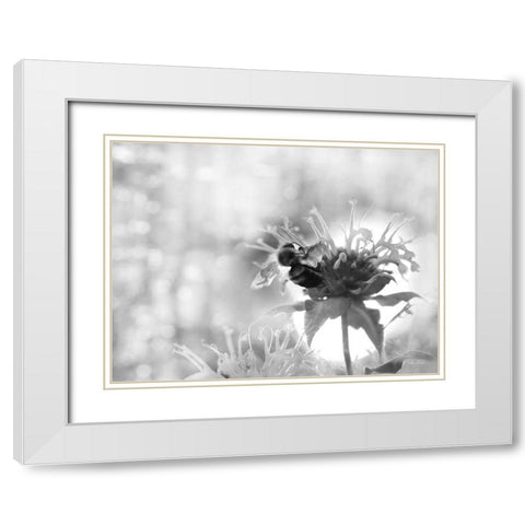 Wild Flowers II White Modern Wood Framed Art Print with Double Matting by Deiter, Lori