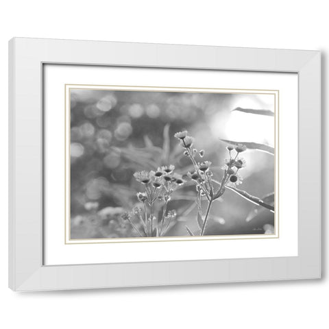 Wild Flowers III White Modern Wood Framed Art Print with Double Matting by Deiter, Lori