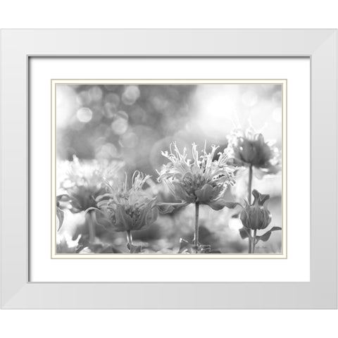 Wild Flowers IV White Modern Wood Framed Art Print with Double Matting by Deiter, Lori