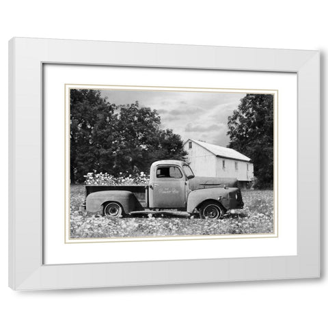 The Flower Box White Modern Wood Framed Art Print with Double Matting by Deiter, Lori