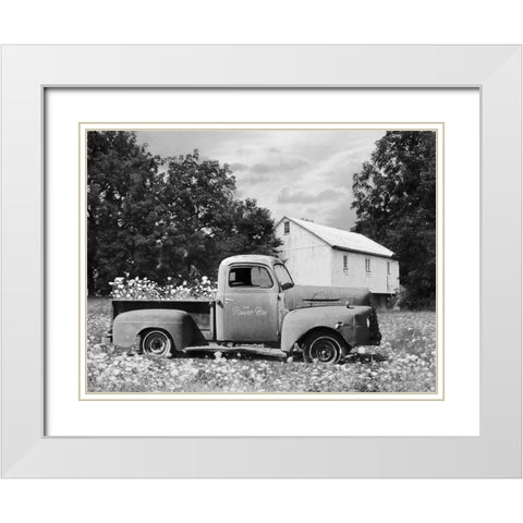 The Flower Box White Modern Wood Framed Art Print with Double Matting by Deiter, Lori