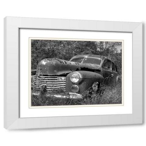 Rust Bucket White Modern Wood Framed Art Print with Double Matting by Deiter, Lori