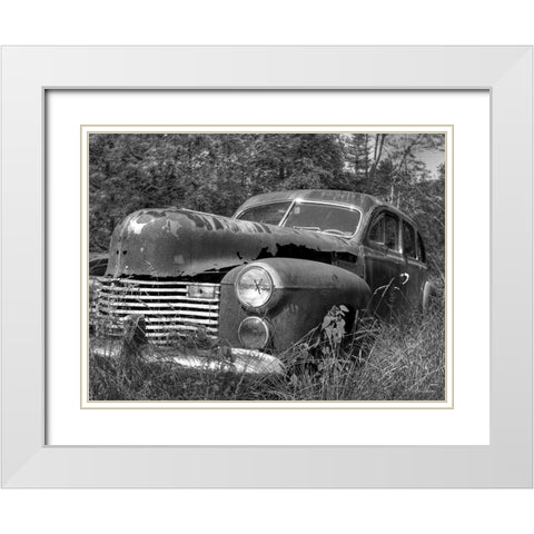 Rust Bucket White Modern Wood Framed Art Print with Double Matting by Deiter, Lori