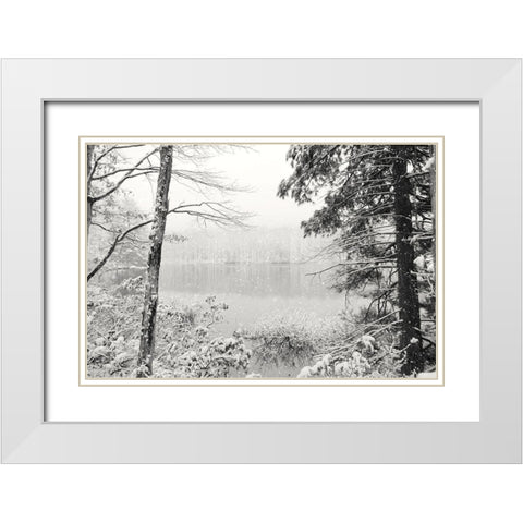 Silence is Beautiful White Modern Wood Framed Art Print with Double Matting by Deiter, Lori