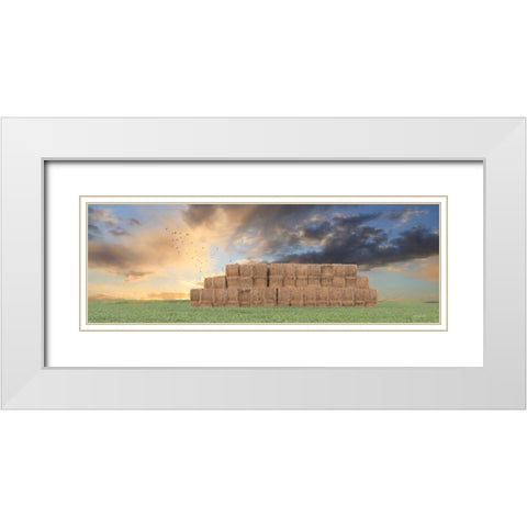 Haystack Harvest White Modern Wood Framed Art Print with Double Matting by Deiter, Lori