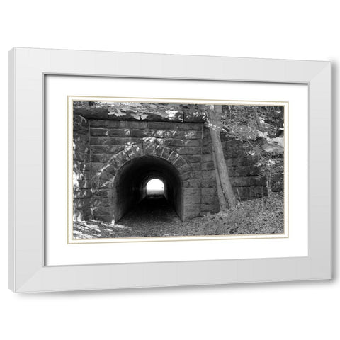 Juniata Tunnel White Modern Wood Framed Art Print with Double Matting by Deiter, Lori