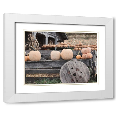Pumpkin Market White Modern Wood Framed Art Print with Double Matting by Deiter, Lori