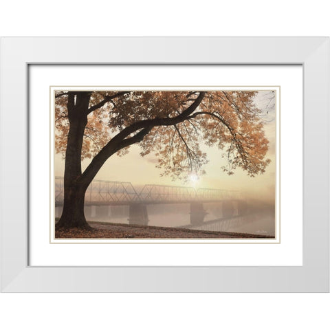 Golden Moments White Modern Wood Framed Art Print with Double Matting by Deiter, Lori