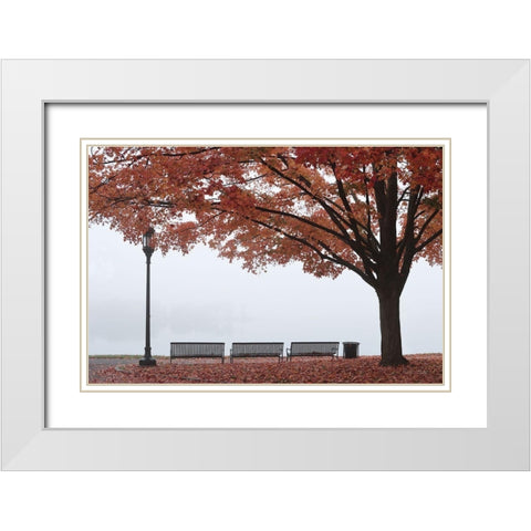 A Place to Dream White Modern Wood Framed Art Print with Double Matting by Deiter, Lori