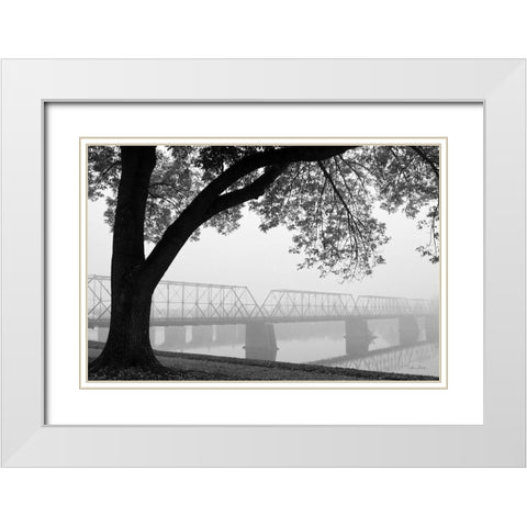 What is Your Destiny White Modern Wood Framed Art Print with Double Matting by Deiter, Lori